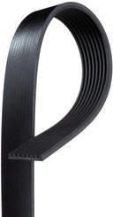 Gates K081362 Serpentine Belt - Accessory Drive