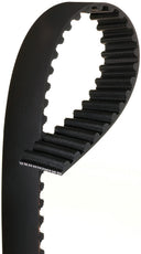 Gates T142 Engine Timing Belt