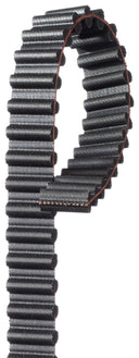 Gates T293 Engine Timing Belt