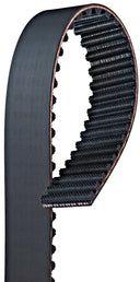 Gates T316 Engine Timing Belt