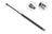 Stabilus 3B-586261 Hatch Lift Support