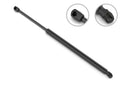 Stabilus 3B-679523 Liftgate Lift Support