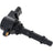 Holstein 2IGC0371 Ignition Coil