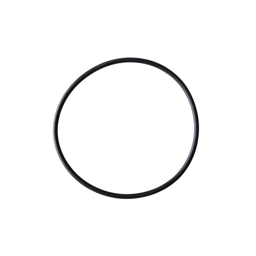 Carter PTS2043 Fuel Pump Tank Seal
