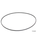 Continental 2PJ800 Serpentine Belt - Fan