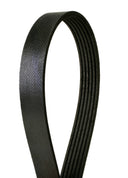 Continental 4060452 Serpentine Belt