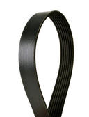 Continental 4070381F Serpentine Belt - Alternator
