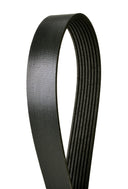 Continental 4080392 Serpentine Belt - Supercharger