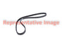 Contitech 429K5MK Serpentine Belt - Alternator, Alternator and Power Steering or Power Steering