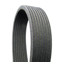 Continental D4080569 Serpentine Belt - Supercharger