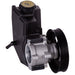 PWR 60-5022PR Power Steering Pump
