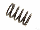 AMC Parts 652852 Engine Valve Spring - Outer