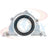 Apex ABS275 Engine Crankshaft Seal Kit - Rear