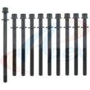 Apex AHB139 Engine Cylinder Head Bolt Set
