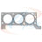 Apex AHG230R Engine Cylinder Head Gasket - Right