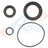 Apex ATC8020 Engine Crankshaft Seal Kit - Front