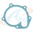 Apex AWP3032 Engine Water Pump Gasket