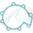 Apex AWP3159 Engine Water Pump Gasket