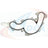 Apex AWP3163 Engine Water Pump Gasket