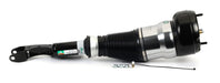 Arnott AS-3160 Air Suspension Strut - Front Right