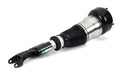 Arnott AS-3160 Air Suspension Strut - Front Right