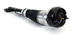 Arnott AS-3160 Air Suspension Strut - Front Right