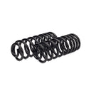 Arnott C-2987 Air Spring to Coil Spring Conversion Kit - Rear