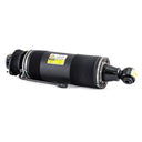 Arnott SK-2420 Suspension Strut - Rear Left