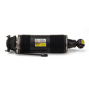 Arnott SK-2485 Suspension Strut - Rear Left