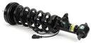 Arnott SK-3598 Suspension Strut and Coil Spring Assembly - Front Left