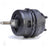 Anchor 3272 Engine Mount - Rear