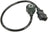 Bosch 0261231007 Ignition Knock (Detonation) Sensor