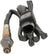 Bosch 17098 Oxygen Sensor - Upstream or Upstream Front