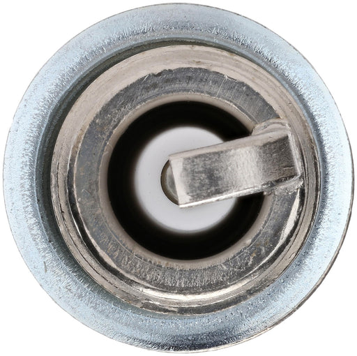 Bosch 8100 Spark Plug