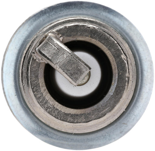 Bosch 8101 Spark Plug