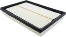 Baldwin PA10040 Air Filter