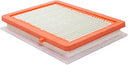 Baldwin PA10091 Air Filter