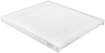 Baldwin PA10155 Cabin Air Filter