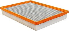 Baldwin PA10341 Air Filter