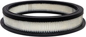 Baldwin PA10355 Air Filter