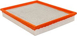 Baldwin PA10386 Air Filter