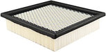 Baldwin PA10389 Air Filter