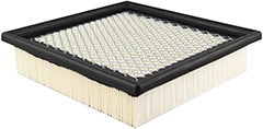 Baldwin PA10389 Air Filter