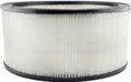 Baldwin PA2091 Air Filter