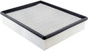 Baldwin PA4113 Air Filter