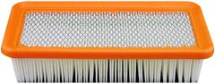 Baldwin PA4363 Air Filter