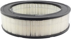 Baldwin PA625 Air Filter