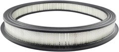Baldwin PA631 Air Filter