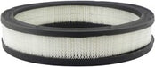 Baldwin PA658 Air Filter