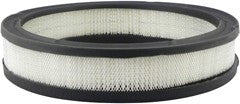 Baldwin PA658 Air Filter
